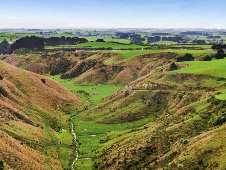 1326 State Highway 3 Manutahi_24