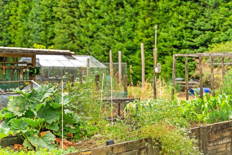 48 Whatitiri Road Maungatapere_18