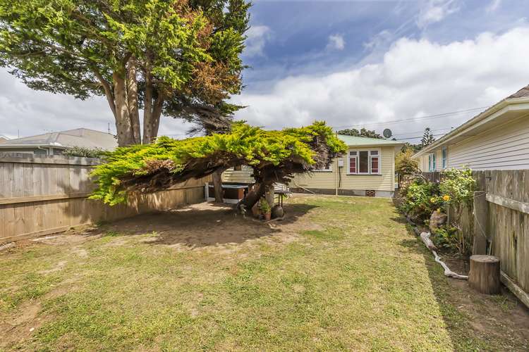 96 Hobart Street Miramar_5