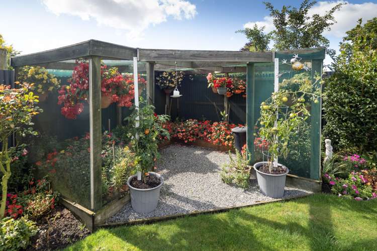 8 Maynard Place Netherby_16