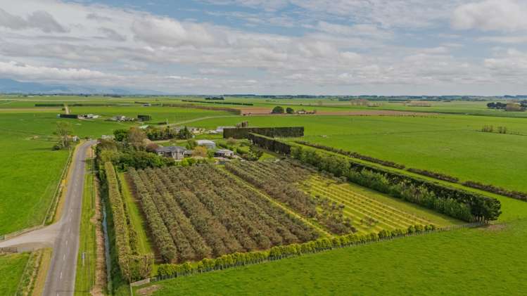 961 Lockwood Road Kairanga_25