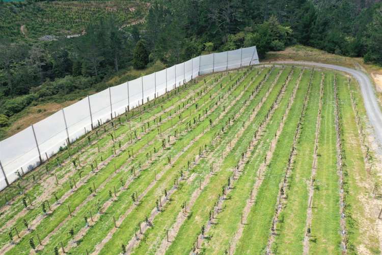 1335a No 3 Road Te Puke_7