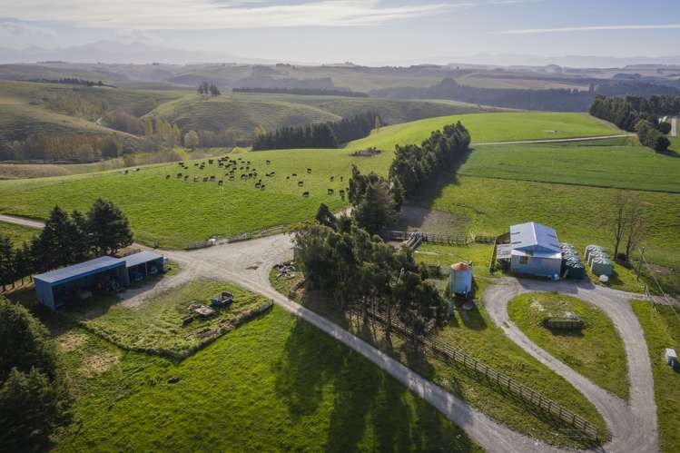 98 Johnstons Road Five Forks and Surrounds_2