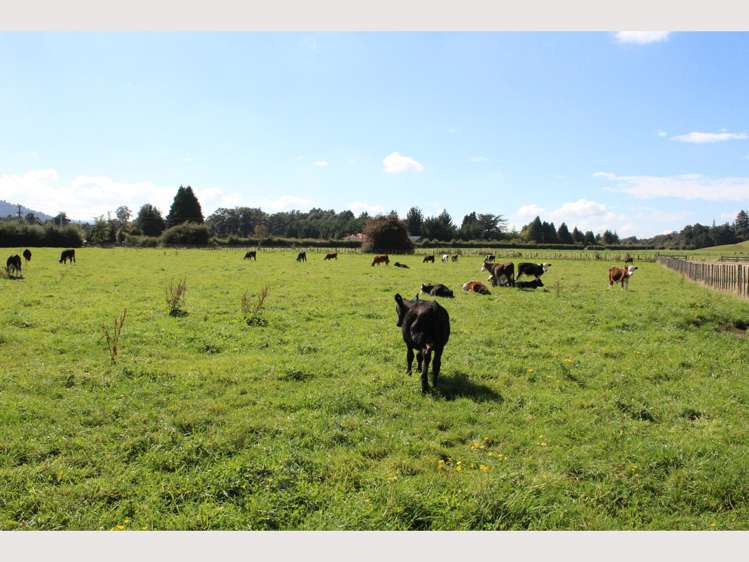 131 Burns Street Ohakune_6