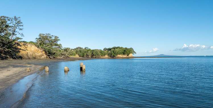 3 Daisy Burrell Drive Gulf Harbour_60