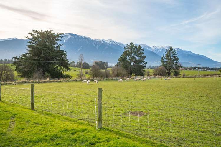87 Green Lane Kaikoura_14