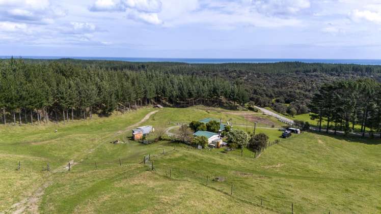 639 Wilson Road, South Head Helensville_11