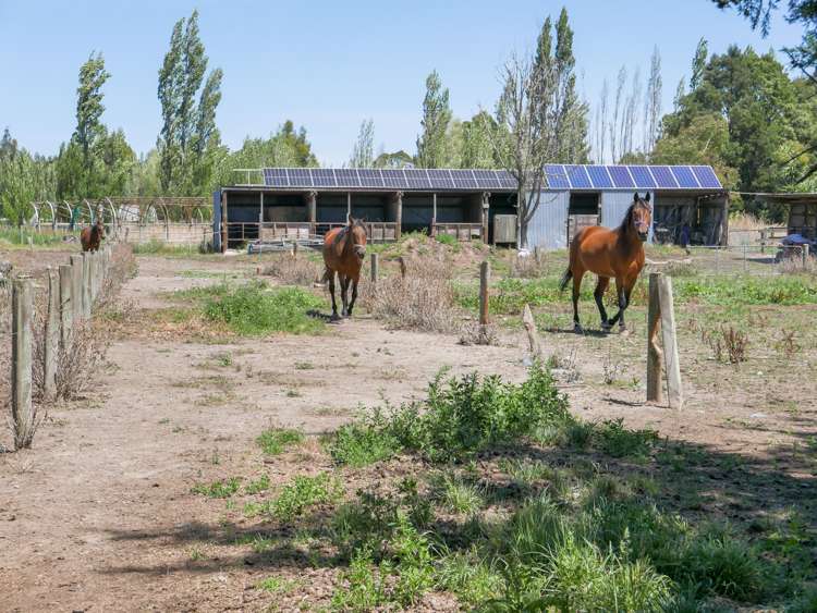 399 Old West Coast Road Templeton_22