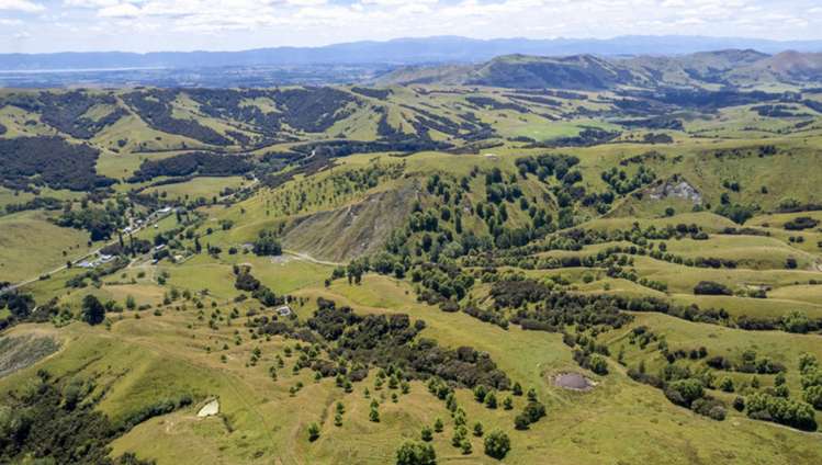 411 Cannock Road Hinakura_13