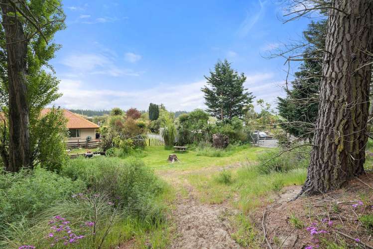 165 Kings Road Leithfield_18