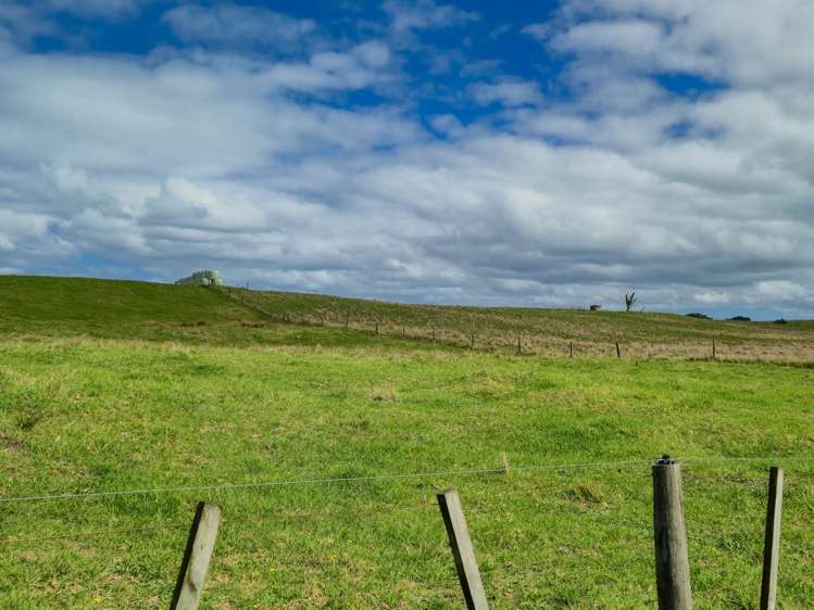 455 Mt Wesley Coast Road Dargaville_17