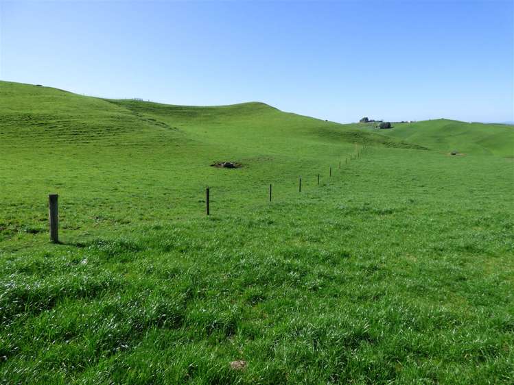 546 Ngutunui Road Otorohanga_25