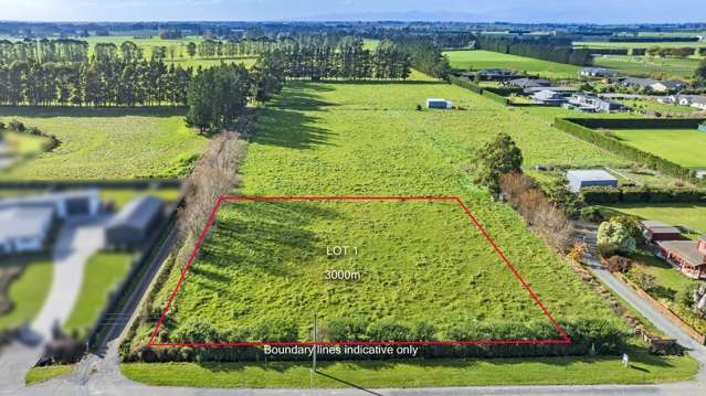 84 Manse Road Pleasant Point_3