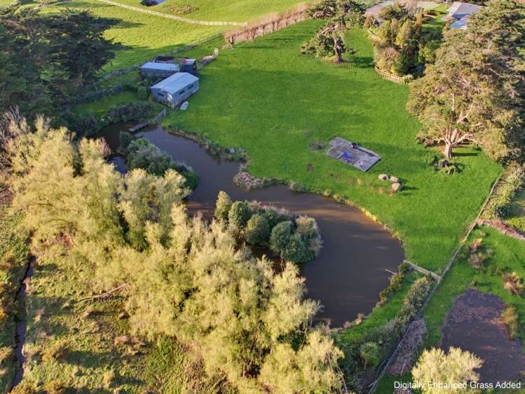 34 Forest Hill Road Aokautere_4
