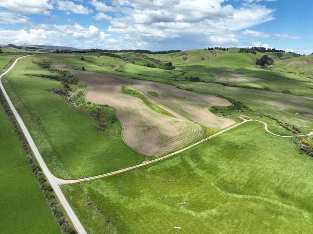 Solid Dairy Support Opportunity