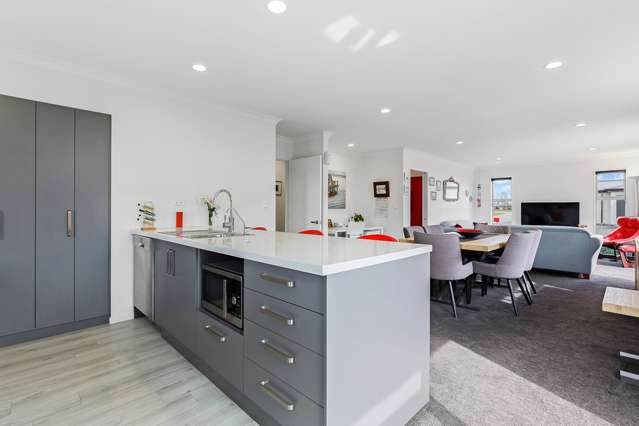 3 Vittoria Lane Pegasus_3