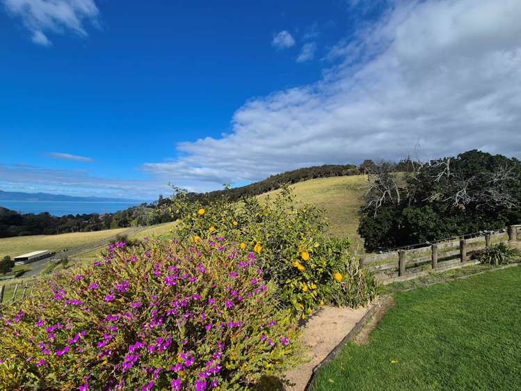 1801 East Coast Road Whakatiwai_35