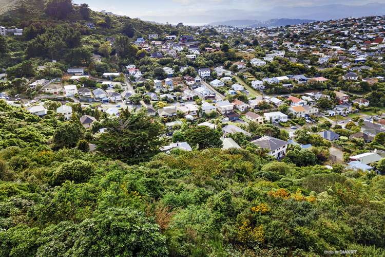 24 Alanbrooke Place Karori_2