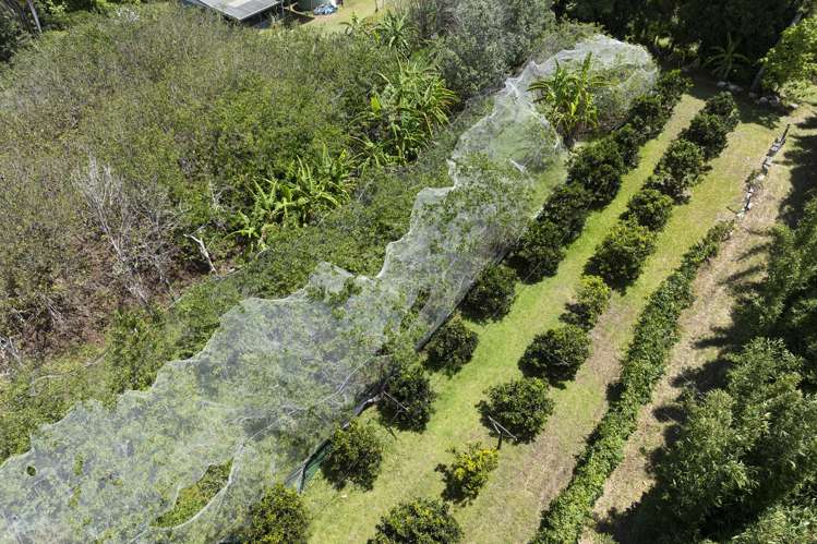 142 Takahe Road/ 2 Kaka St Ahipara_24