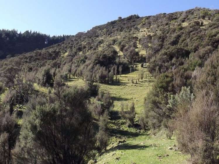 704 Mangatarere Valley Road Carterton_13