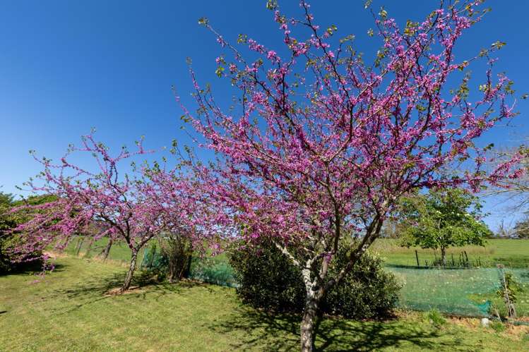 281 Tadmor Valley Road Tapawera_8