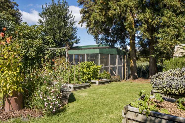 73 Stewart Road Whakamarama_22