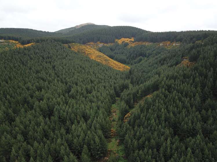 Palmerston-Waikouaiti Road Palmerston_8