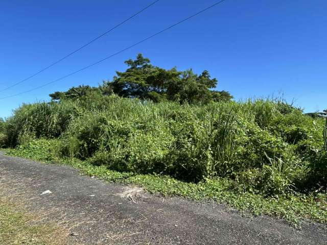 Lot 11 Pali Street Off Nasoso Road Nadi_4