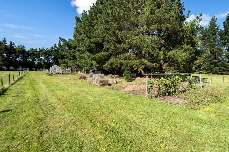 120 Johnstone Street Tinwald_39