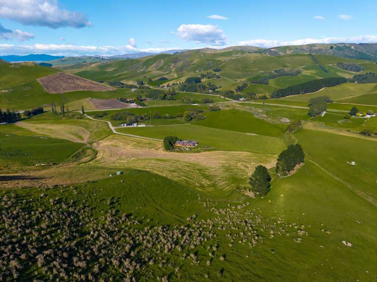 580 Taiko Road Taiko_21