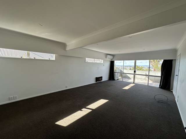 43 Te Kawa Road Greenlane_4