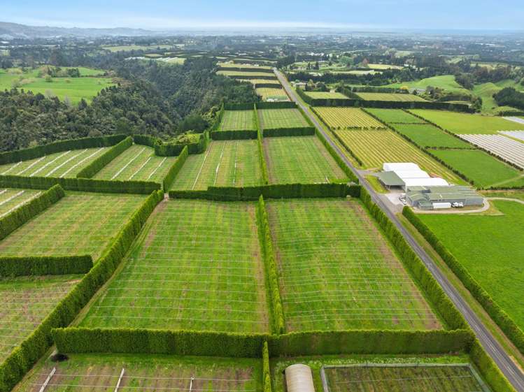 Lot 3/1010 Te Matai Road Te Ranga_10