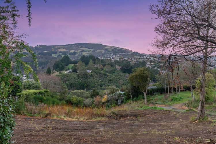 76 Cannington Road Maori Hill_16