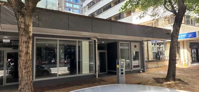 195 Willis Street Te Aro_1