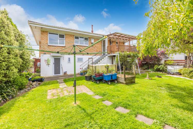 490 Park Road Te Awamutu_29