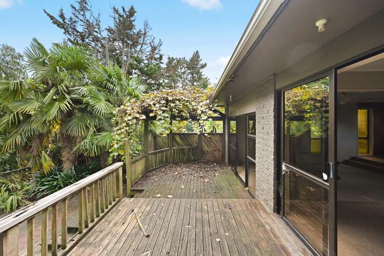 20 Splitt Avenue Glenview_19