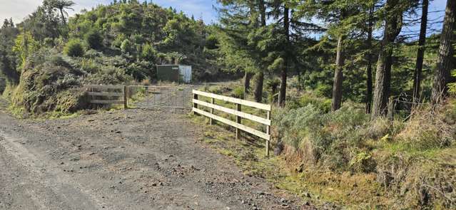29.95 ha Forestry investment opportunity