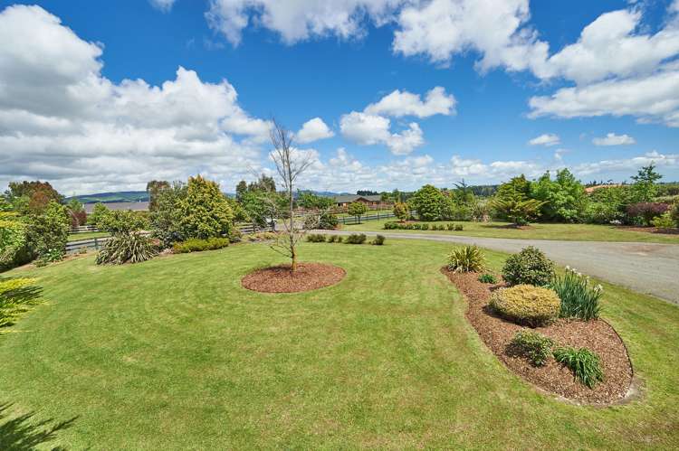 55 Polson Hill Drive Aokautere_7