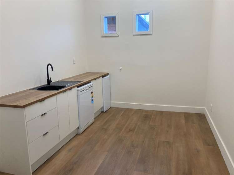 29 Battersea Street, Sydenham, Christc Sydenham_5