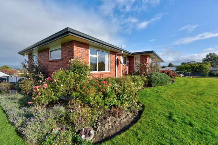 123 Frank Street Gore_33