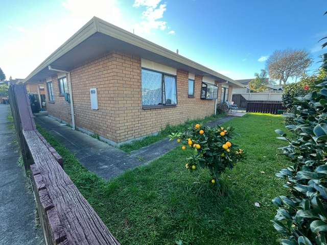 19a Mitchell Street Greerton_2