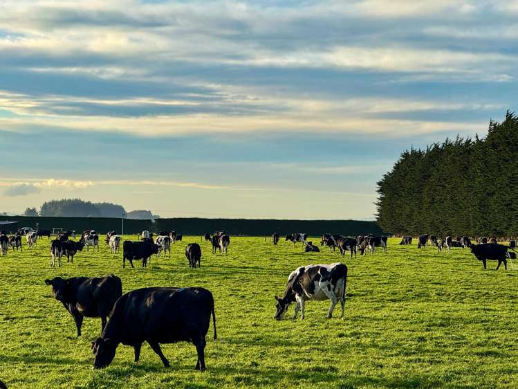 83 Fraser Road Winton Surrounds_4