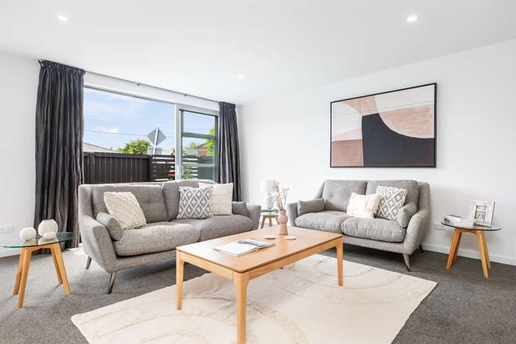 16 Millar Street Sydenham_16