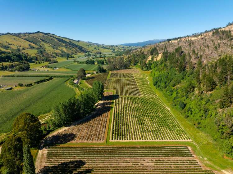 160 Tadmor Valley Road Tapawera_8