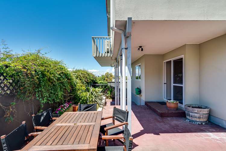 28a Havelock Road Napier South_17