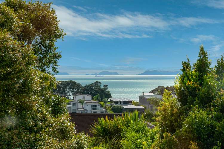 91 Braemar Road Castor Bay_0