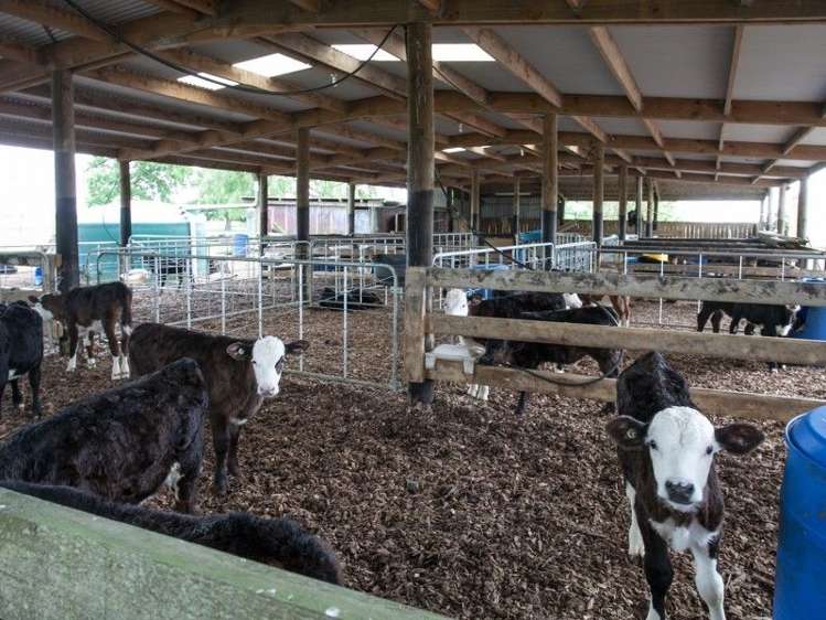 3249 State Highway 26 Morrinsville_12