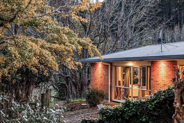 447 Wright Road Matakana_1