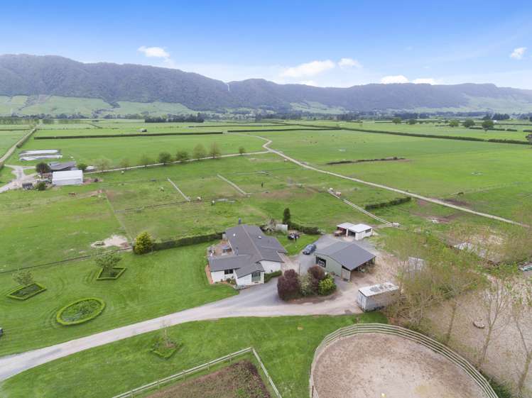 1084 Tower Road Turangaomoana_9