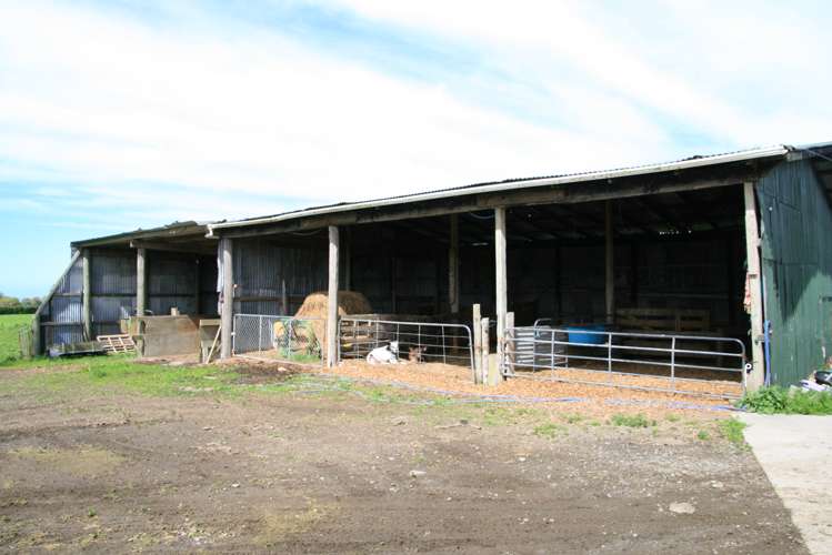 1641 Eltham Road Kaponga_19